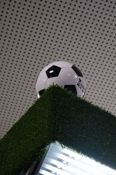 Datei:Small Eckball.jpg